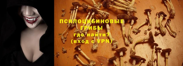 индика Абдулино