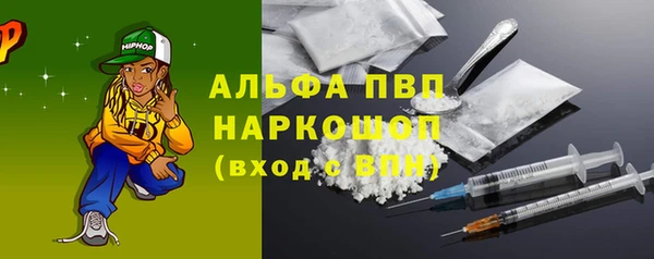 хмурый Абаза