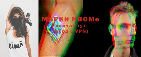 хмурый Абаза