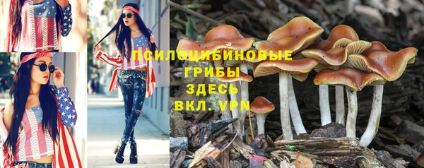 индика Абдулино