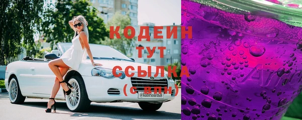 хмурый Абаза