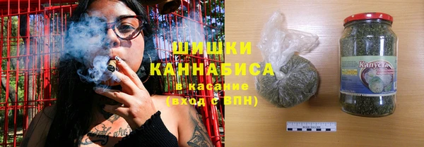 хмурый Абаза