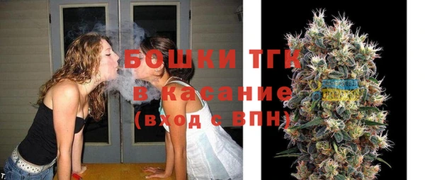 хмурый Абаза