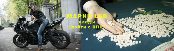 хмурый Абаза