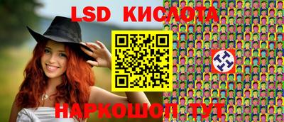 стафф Кингисепп