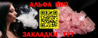 стафф Кингисепп
