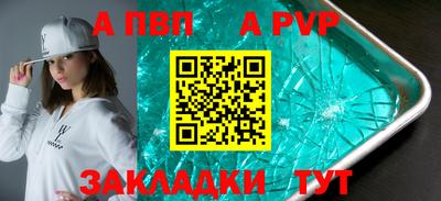 стафф Кингисепп