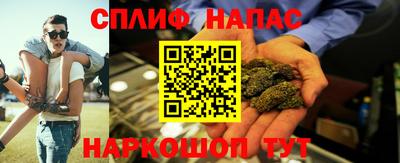 стафф Кингисепп