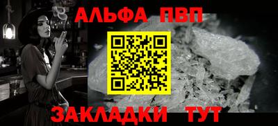 стафф Кингисепп