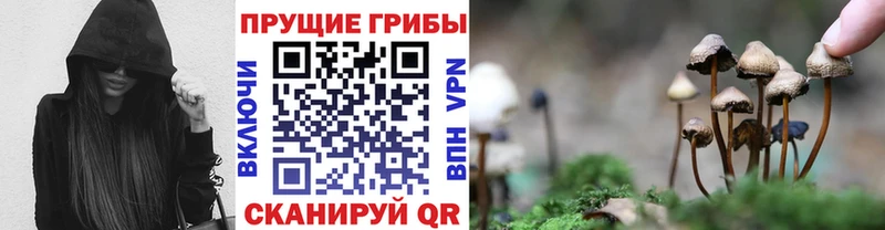 Галлюциногенные грибы мицелий цена Костомукша